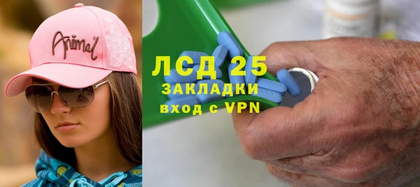 ПСИЛОЦИБИНОВЫЕ ГРИБЫ Аркадак