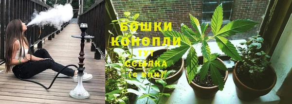 ПСИЛОЦИБИНОВЫЕ ГРИБЫ Аркадак