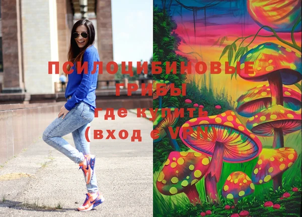 ПСИЛОЦИБИНОВЫЕ ГРИБЫ Аркадак