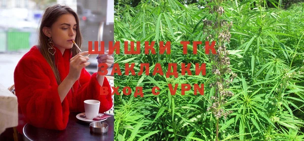 ПСИЛОЦИБИНОВЫЕ ГРИБЫ Аркадак