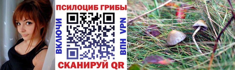 Псилоцибиновые грибы GOLDEN TEACHER  где продают   мориарти Telegram  Волгореченск 